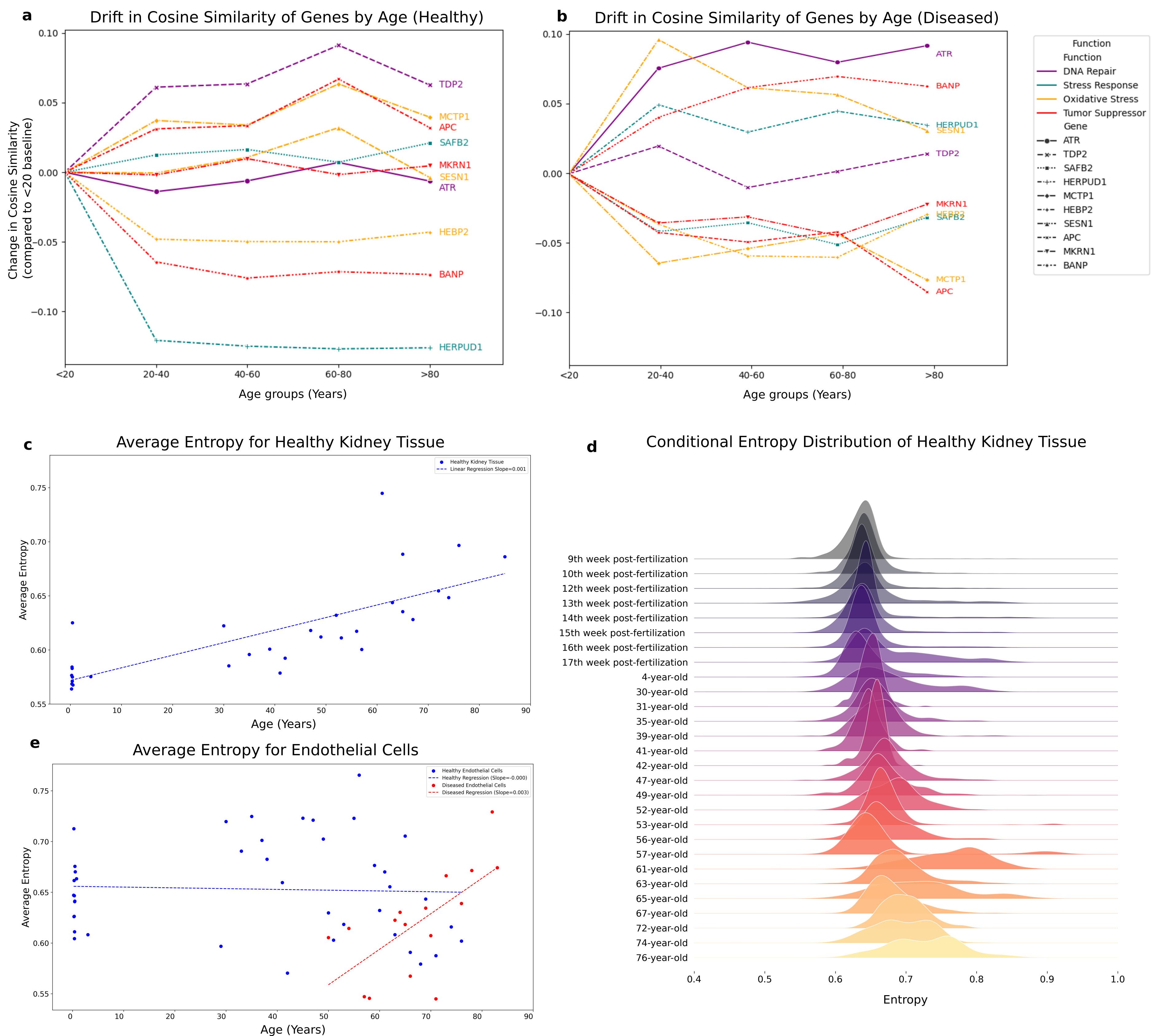 Figure 5: Classification of conservative and dissipative genes with statistical validation