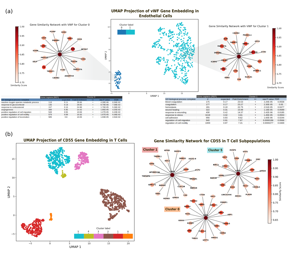 Figure 6: Polyfunctional characteristics of VWF and CD55